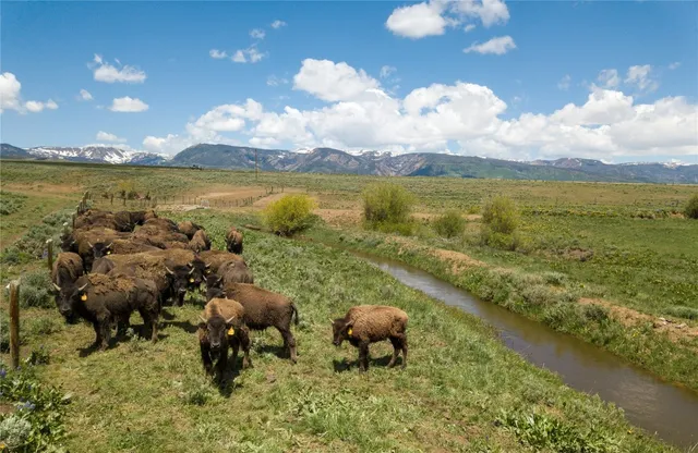 $10,750,000 | 6742 Jackson County Road 24, Coalmont, CO 80430