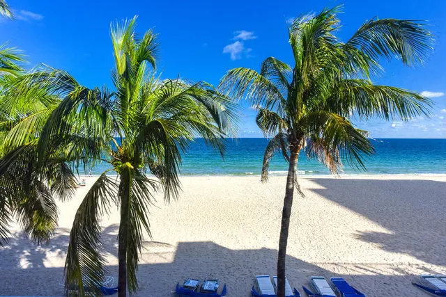 a view of beach and palm trees