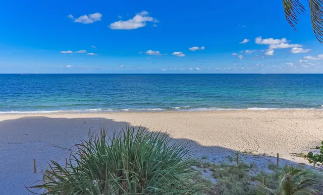 a view of an ocean and a mountain