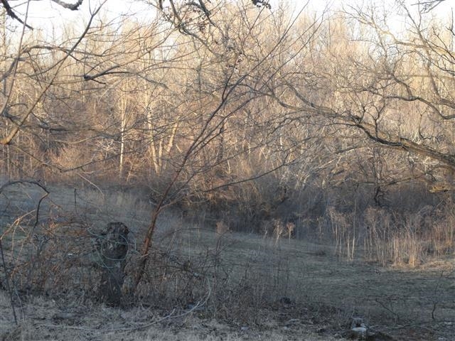 0 Island Forty Road Memphis, TN 38053 - Photo 1 of 2 Gallery Image 1