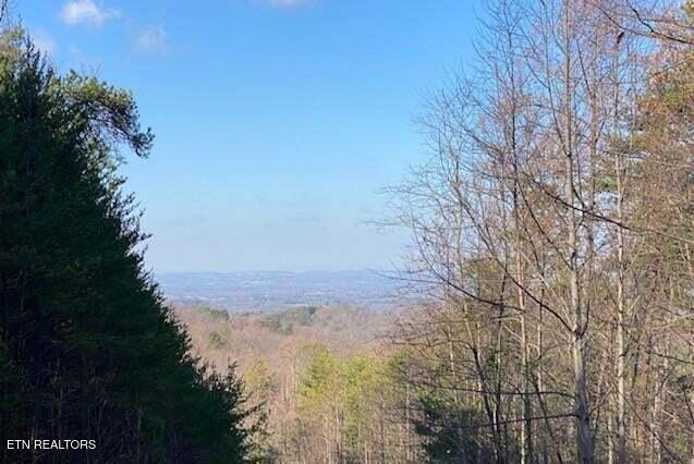English Springs Way Newport, TN 37821 - Photo 2 of 11 English Springs Way Photo 1