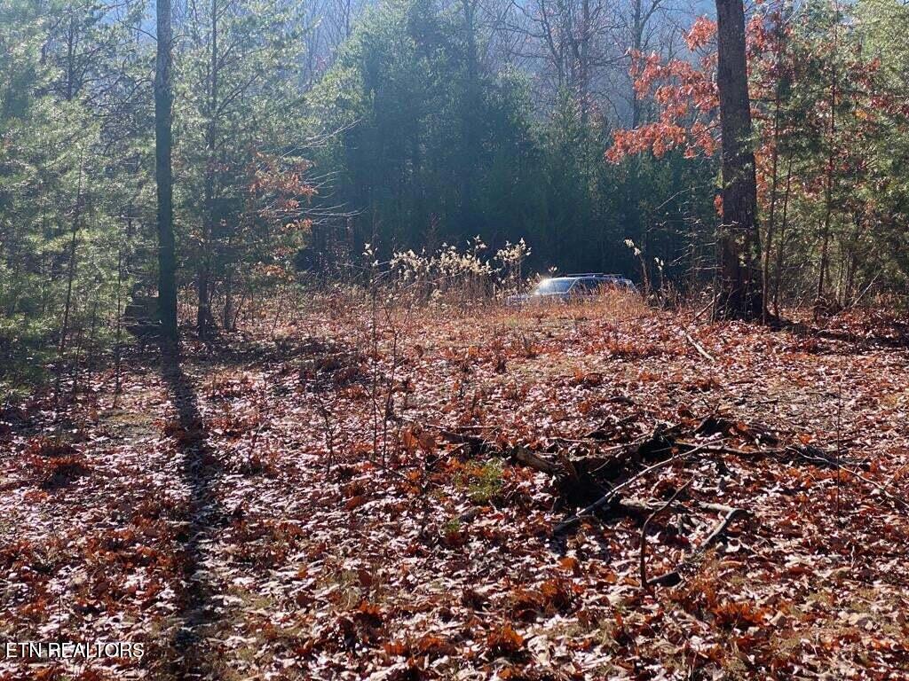 English Springs Way Newport, TN 37821 - Photo 5 of 11 English Springs Way Photo 9