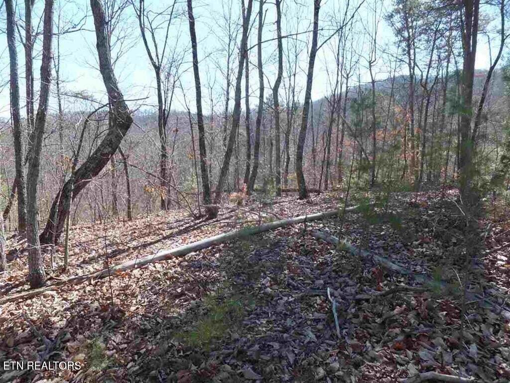 English Springs Way Newport, TN 37821 - Photo 7 of 11 English Springs Way Photo 2