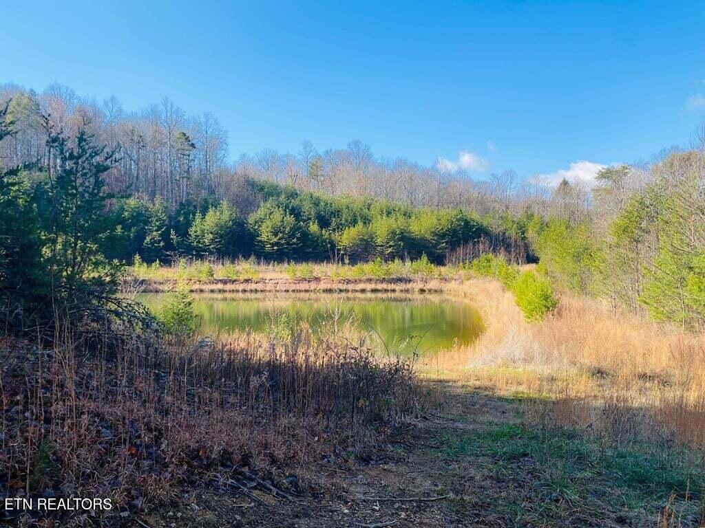 English Springs Way Newport, TN 37821 - Photo 10 of 11 English Springs Way Photo 3