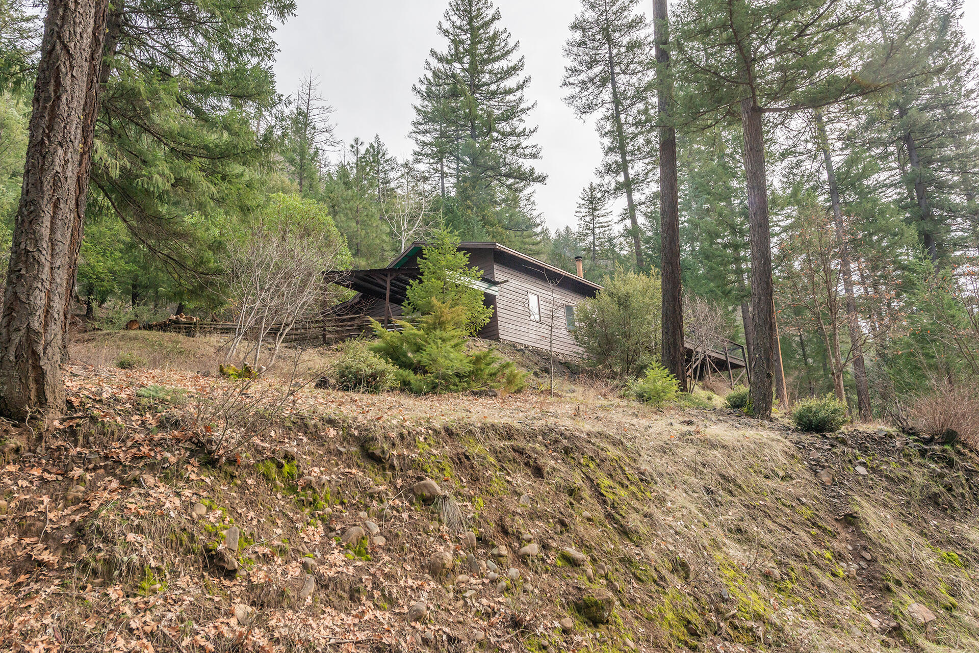 540 Lost Bridge Road Lewiston, CA 96052 - Photo 60 of 67 DSC_5729