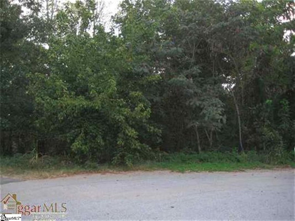 0 South Forty Road Piedmont, SC 29673 - Photo 2 of 2 Gallery Image 2