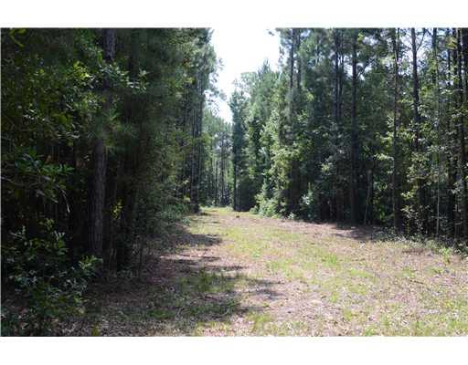 12 Deer Run Road Pearl River, LA 70452 - Photo 1 of 6 Gallery Image 1