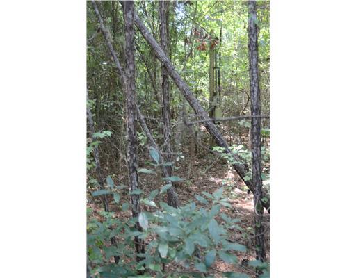 12 Deer Run Road Pearl River, LA 70452 - Photo 3 of 6 Gallery Image 3