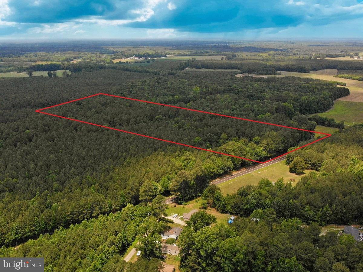 0 Salisbury Road Spring Grove, VA 23881 - Photo 3 of 23