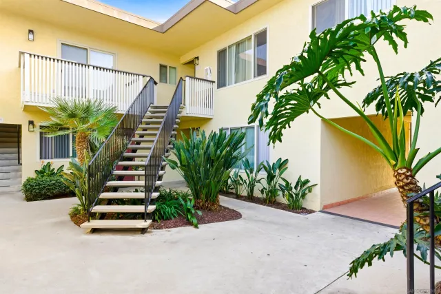 a potted plant sitting in front of a house