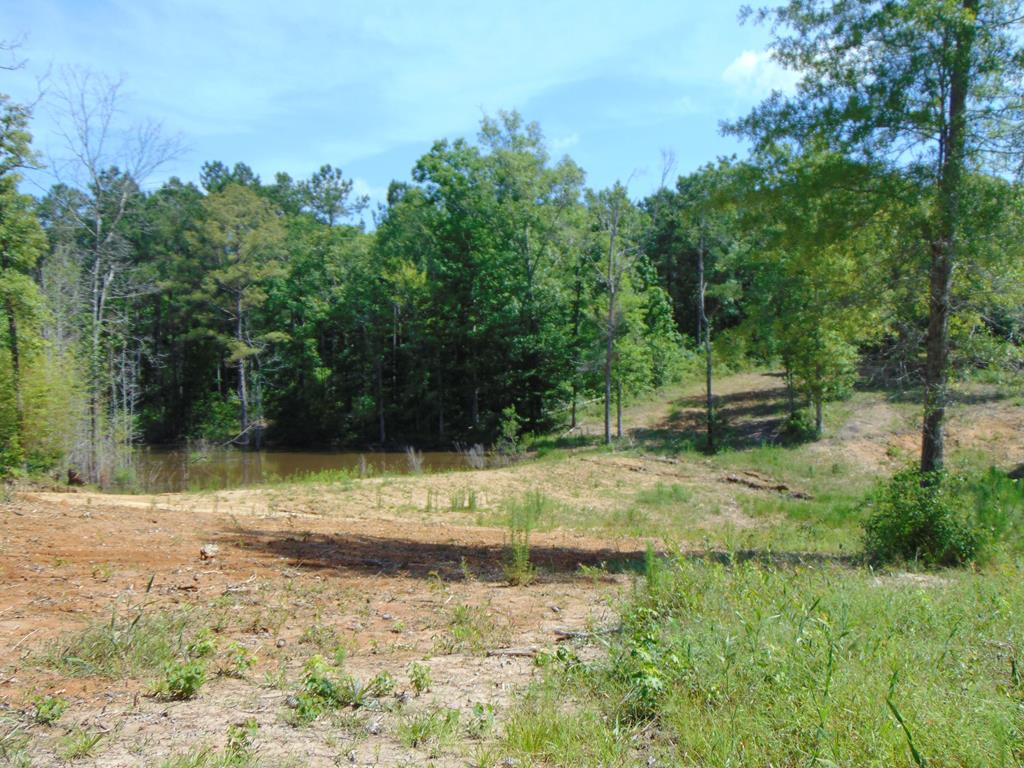 4101 Barner Road Hazlehurst, MS 39083 - Photo 54 of 70 Photo 54