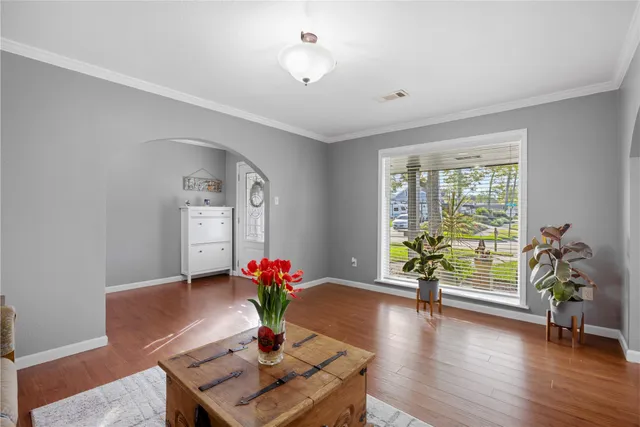 a living room with furniture and a potted plant
