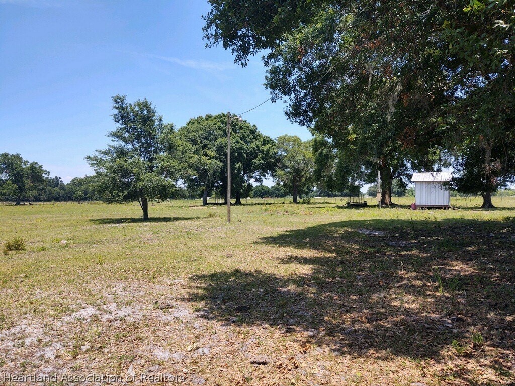 2271 Gilliard Farm Road Wauchula, FL 33873 - Photo 3 of 4 a view of a tree in a yard