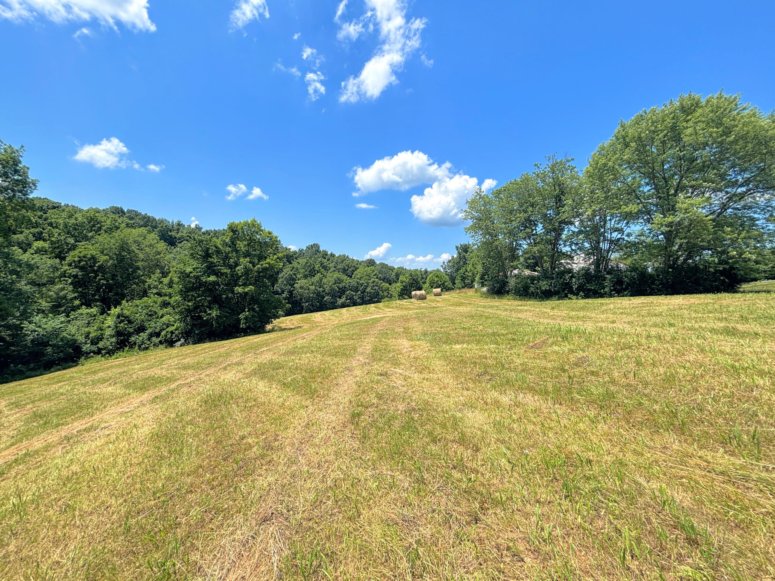 3445 Crittenden Mt Zion Road Dry Ridge, KY 41035 - Photo 8 of 48 Gallery Image 8