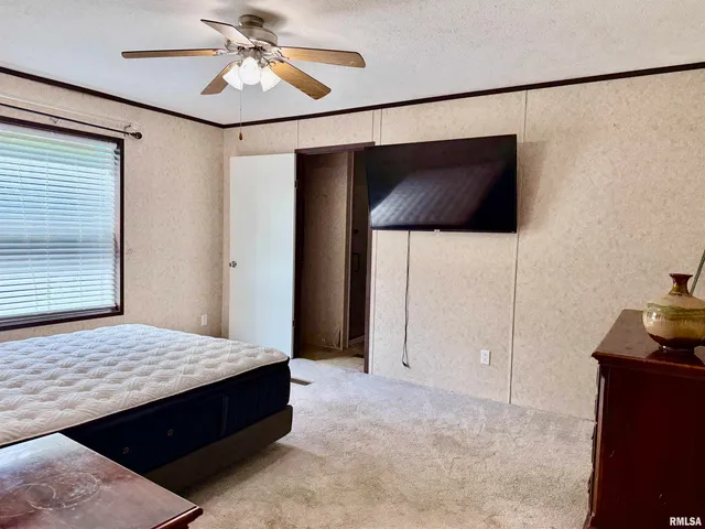 $82,500 | 113 21st Street, Metropolis, IL 62960