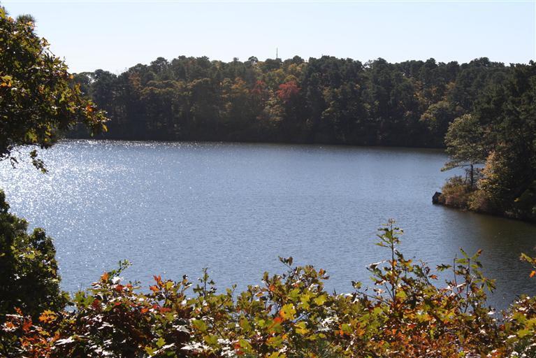 40 Old Run Hill Road Brewster, MA 02631 - Photo 1 of 29 Primary Photo
