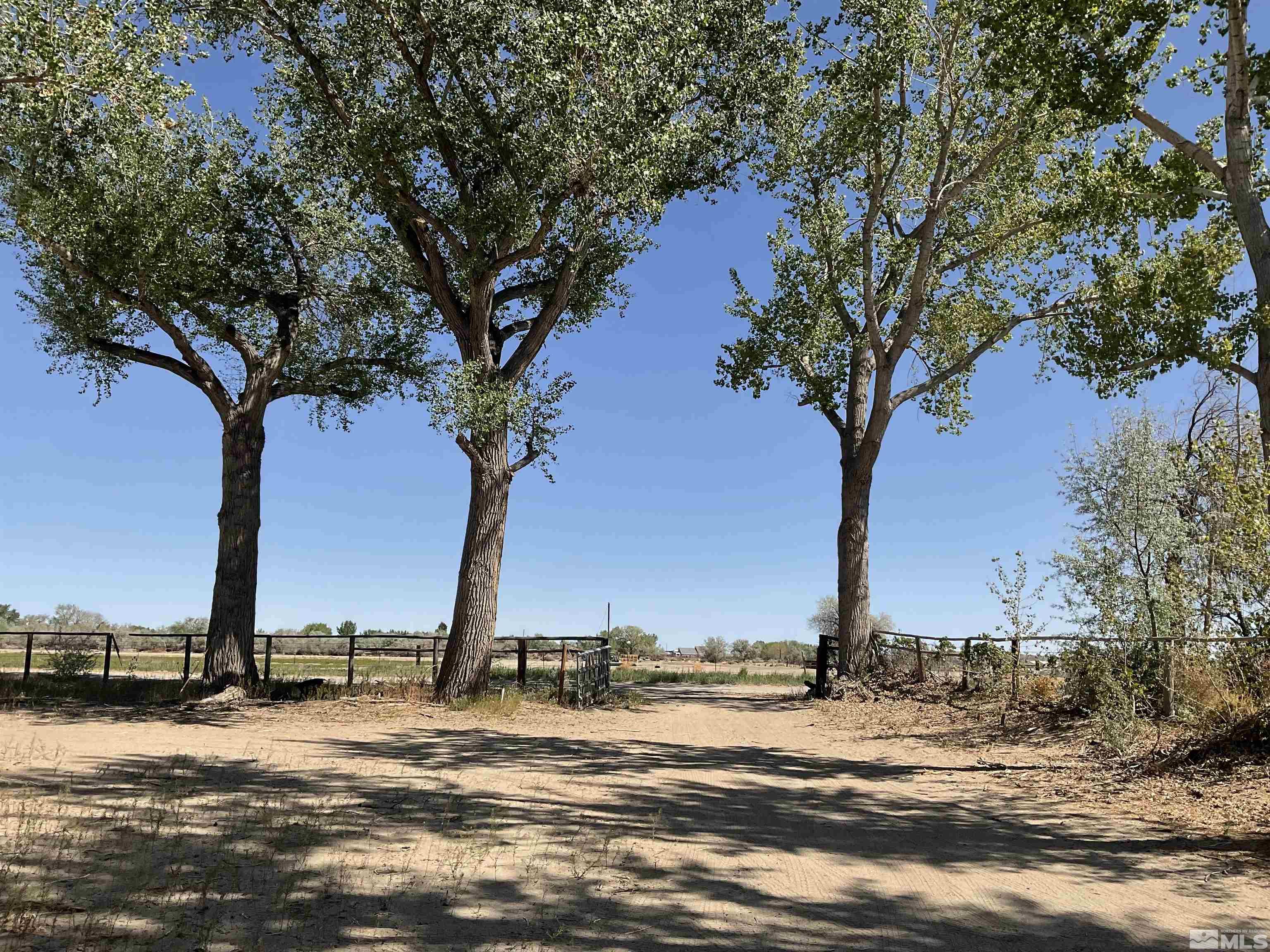 2166 Soda Lake Road Fallon, NV 89406 - Photo 7 of 17 Photo 7