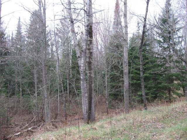 On Rasmusson Road Rhinelander, WI 54501 - Photo 8 of 9 Gallery Image 8
