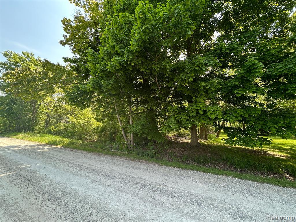 Vl Hough Road Allenton, MI 48002 - Photo 3 of 4
