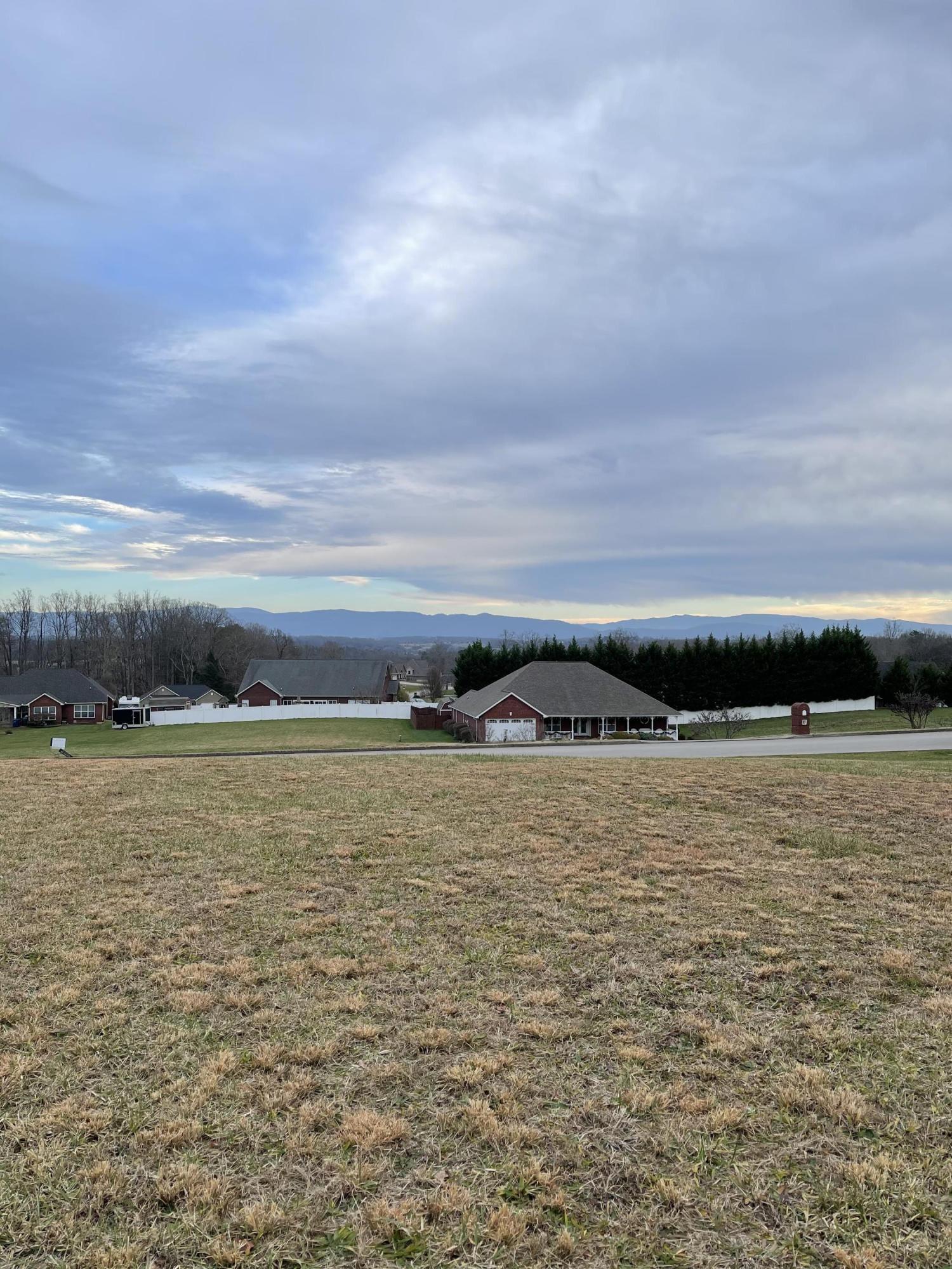 1227 Houston Springs Road Greenback, TN 37742 - Photo 8 of 12 IMG_0036