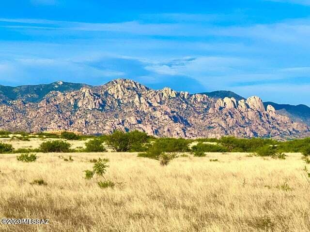 36.10 Acres Street St. David, AZ 85630 - Photo 6 of 21