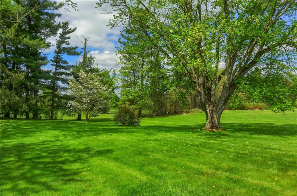 3015 Spring Garden Avenue New Castle, PA 16105 - Photo 25 of 26