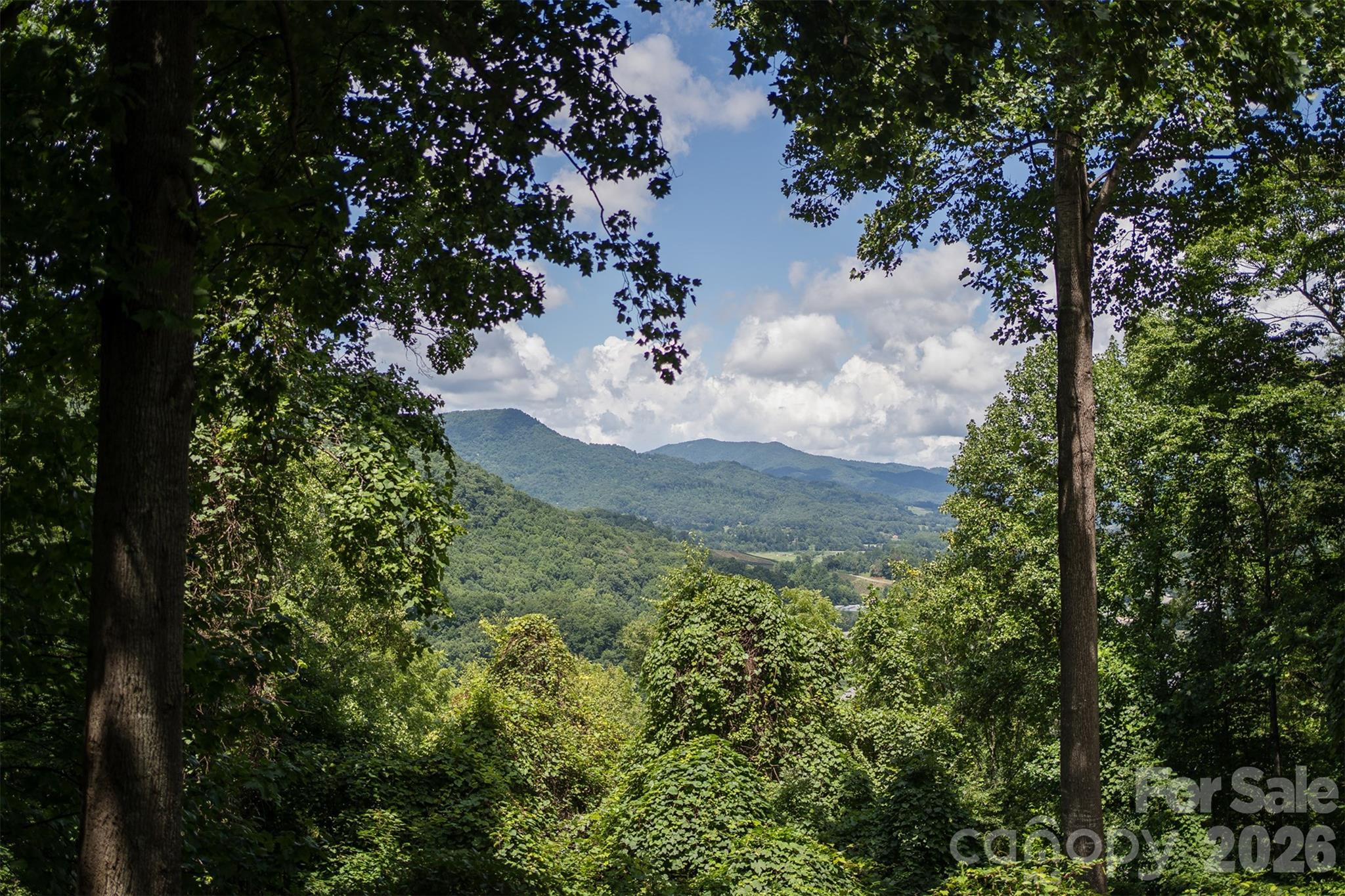 612 Whispering Winds Road Waynesville, NC 28785 - Photo 12 of 40