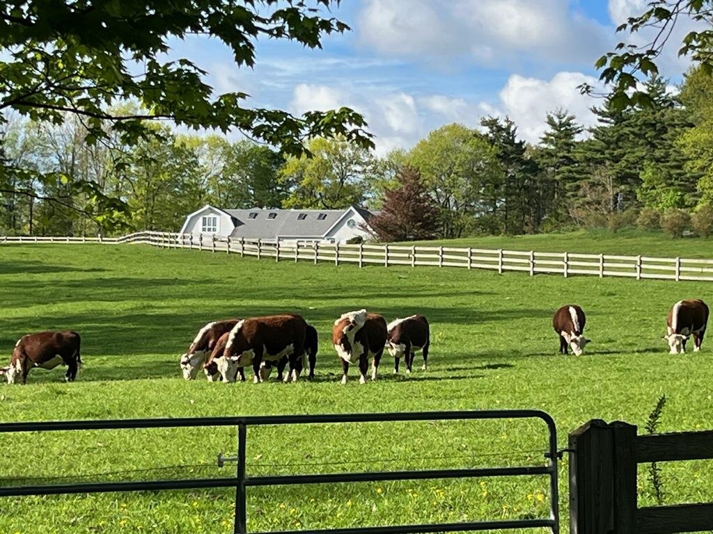 53 Wheeler Road New Ipswich, NH 03071 - Photo 1 of 40