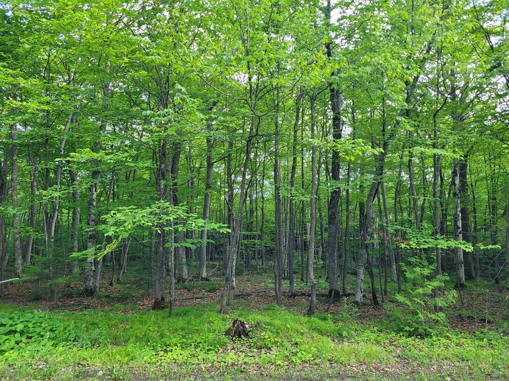 Tbd East Door Blf Road Ellison Bay, WI 54210 - Photo 2 of 5