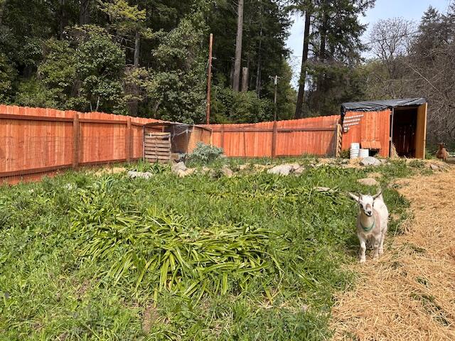 141 Wallen Ranch Road Burnt Ranch, CA 95527 - Photo 24 of 41