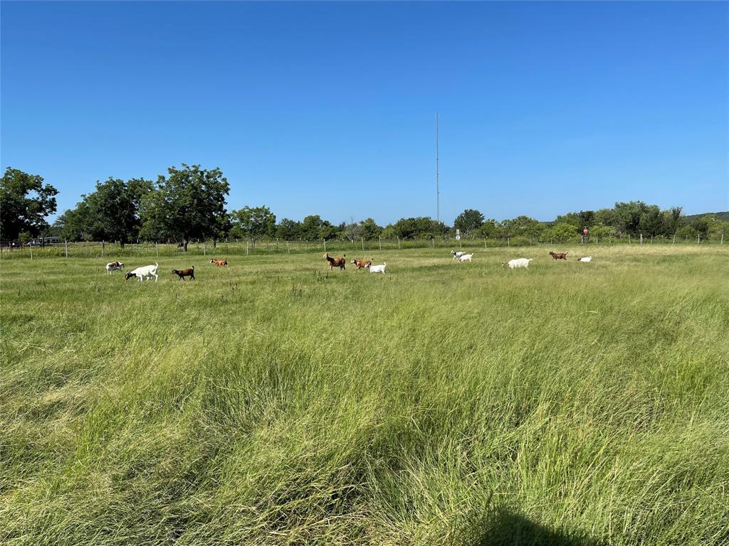 87 Ledbetter Road Mineral Wells, TX 76067 - Photo 6 of 22 a view of an outdoor space and yard
