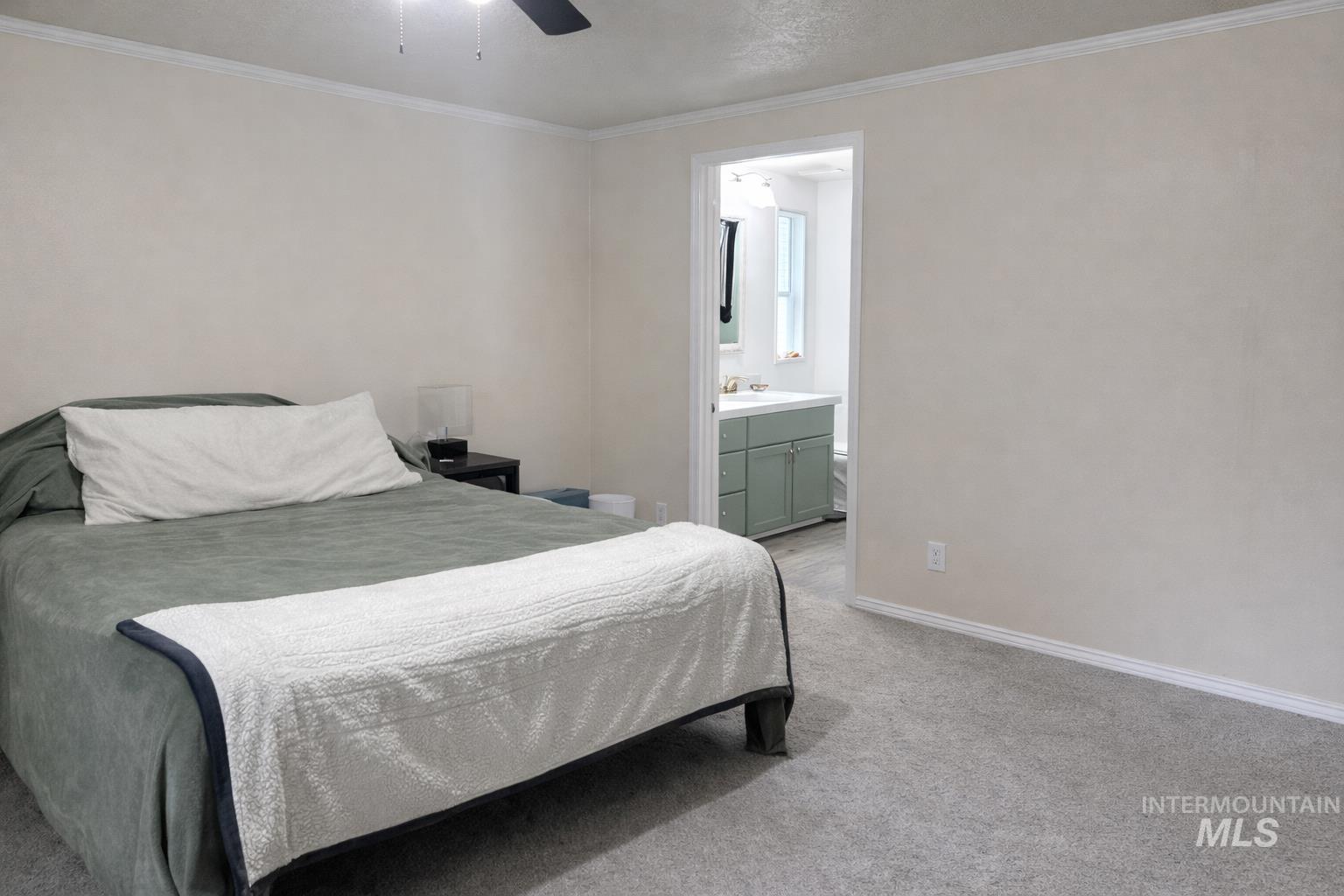 700 East Fairview Avenue, Unit 195 Meridian, ID 83642 - Photo 10 of 19 Bedroom with ornamental molding, light colored carpet, and ceiling fan