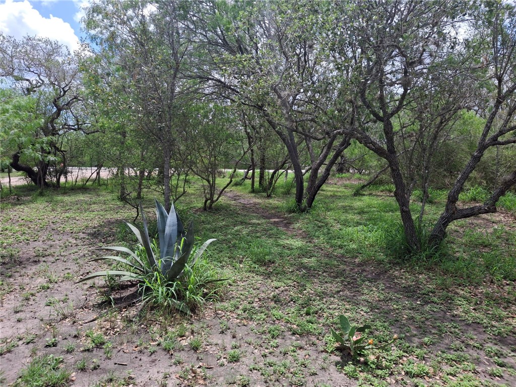 9213 Pvt 6005 Road Sinton, TX 78387 - Photo 23 of 24