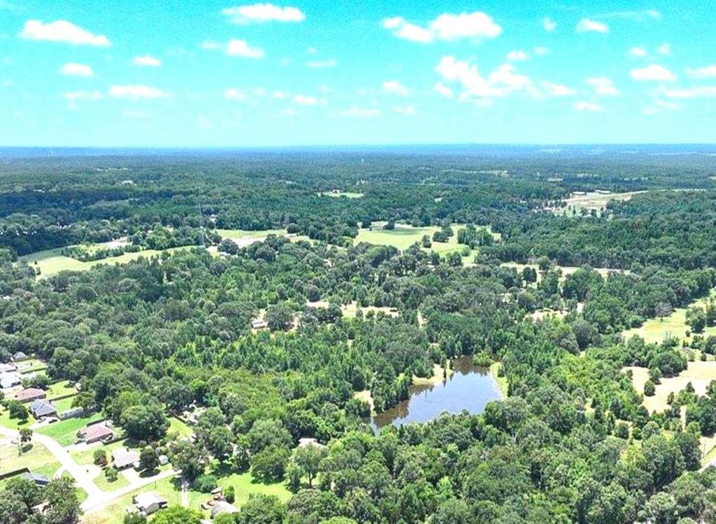 0 Private Road, Unit 6254 Mineola, TX 75773 - Photo 2 of 6 an aerial view of residential houses with outdoor space and trees