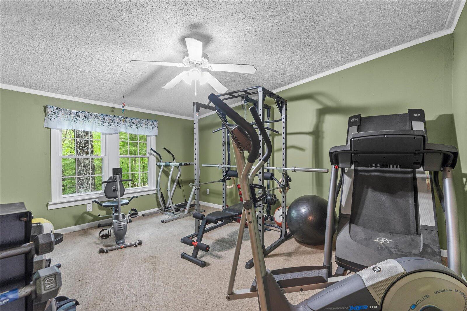 4222 McDonald Road Apison, TN 37302 - Photo 24 of 54 24-4222 McDonald Rd-24