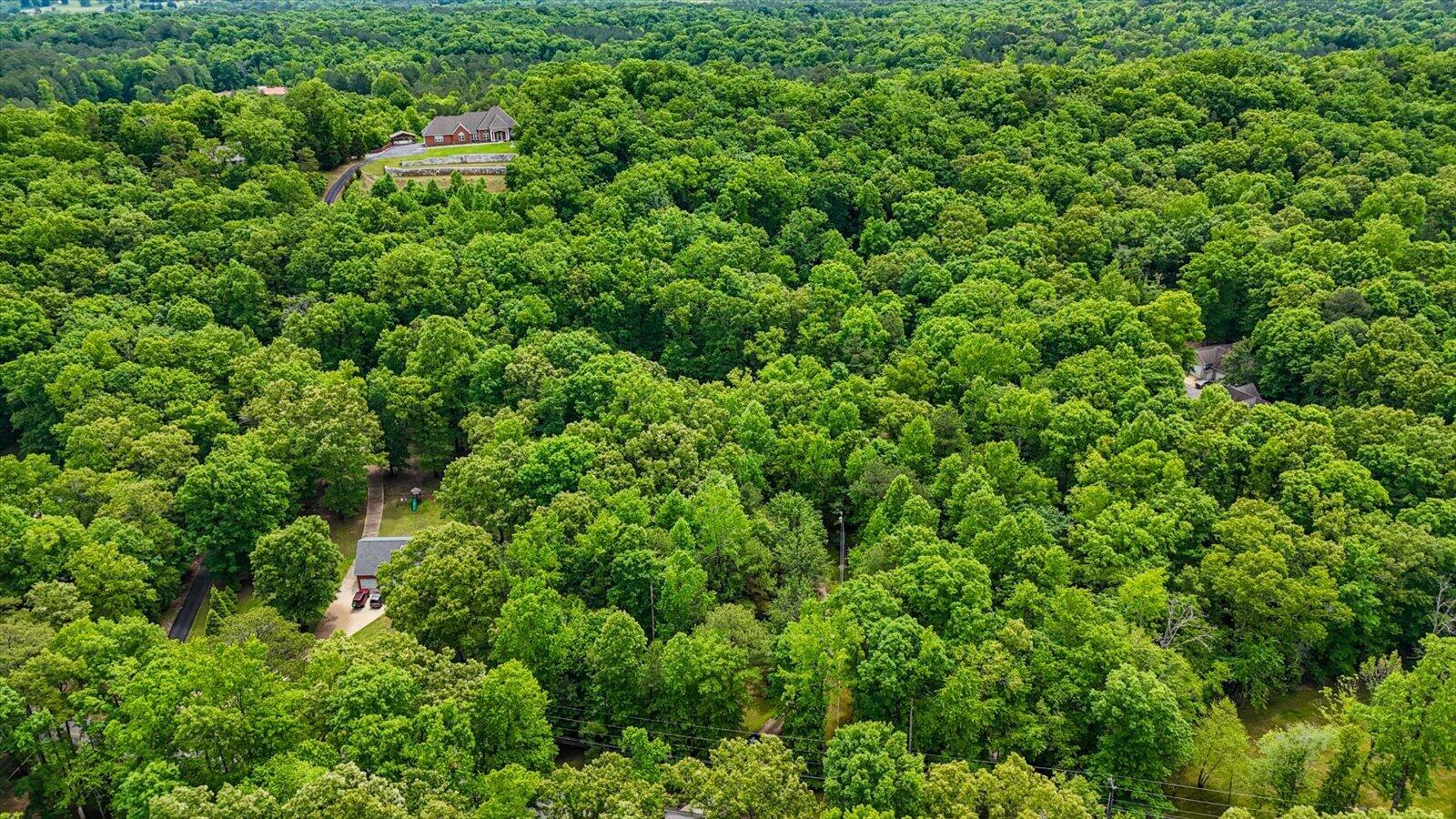 4222 McDonald Road Apison, TN 37302 - Photo 47 of 54 47-4222 McDonald Rd-47
