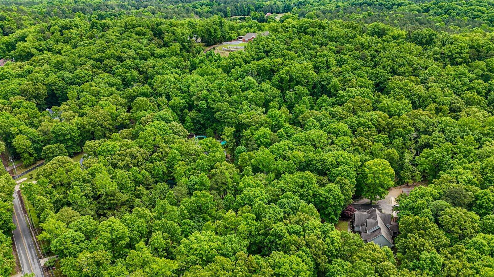 4222 McDonald Road Apison, TN 37302 - Photo 53 of 54 55-4222 McDonald Rd-55