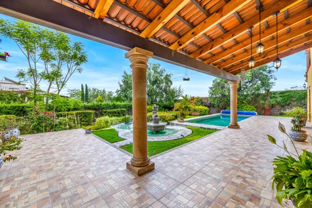 a view of a backyard with plants and large tree