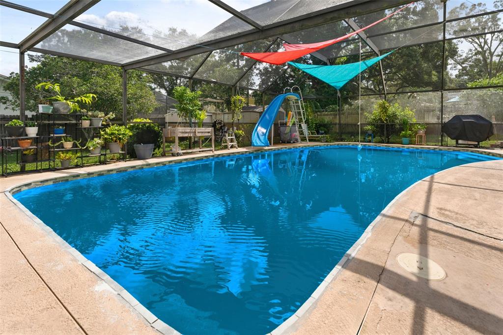 2079 Brendla Road Clearwater, FL 33755 - Photo 27 of 37 Huge Pool