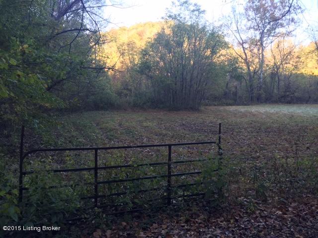 543 Cow Branch Road West Point, KY 40177 - Photo 2 of 23 B3