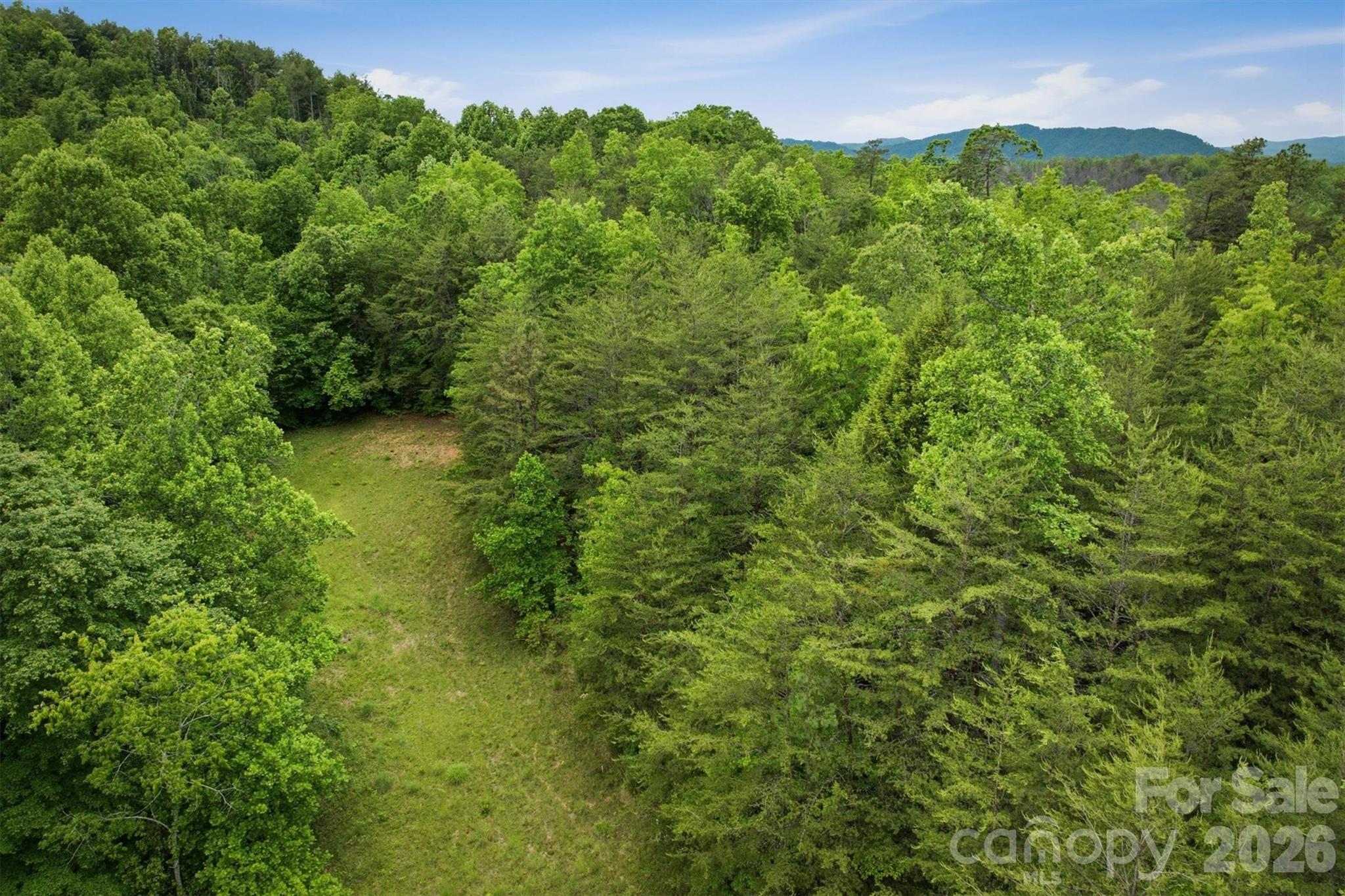 1350 Lavender Road Old Fort, NC 28762 - Photo 11 of 13