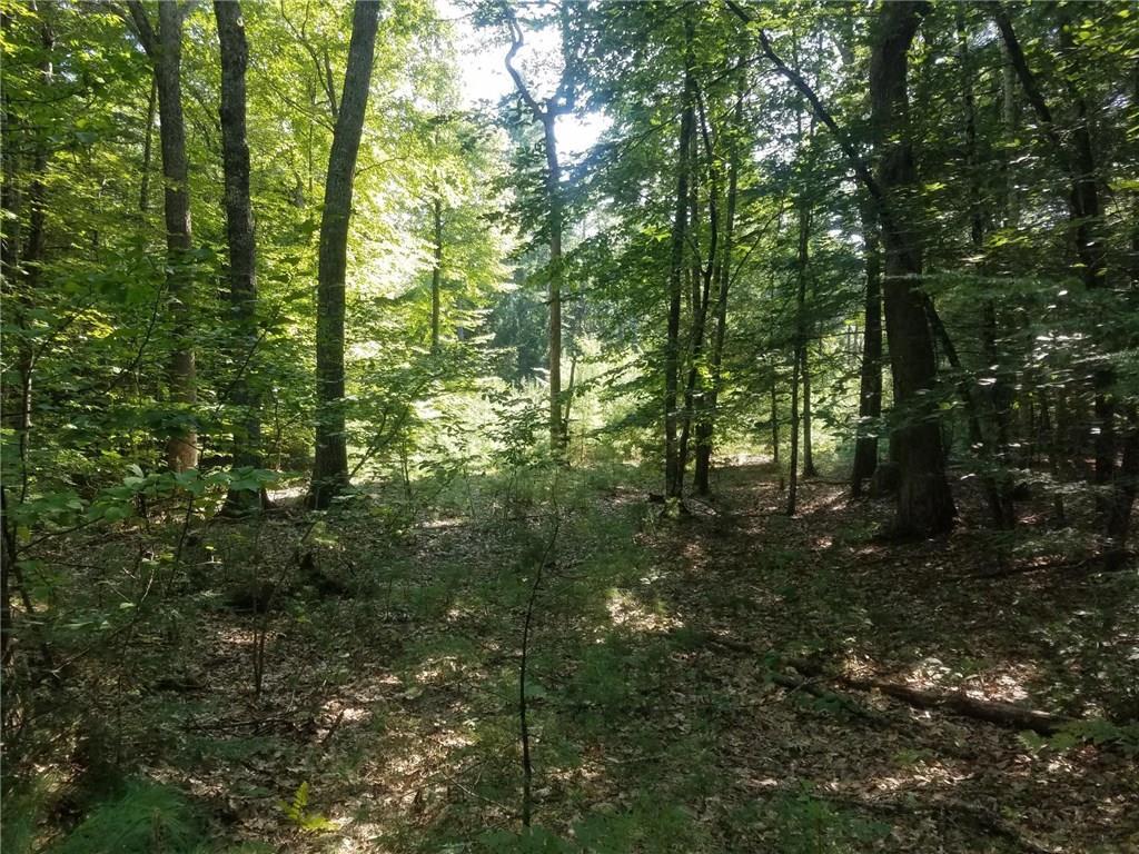 Lot 7 Bell Marsh Road York, ME 03909 - Photo 17 of 18 Photo