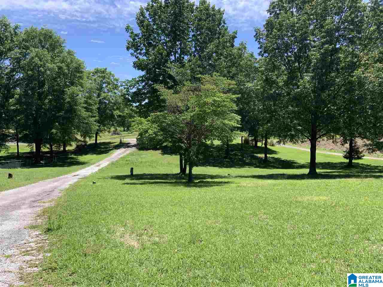 7515 Bankhead Road Quinton, AL 35130 - Photo 4 of 29