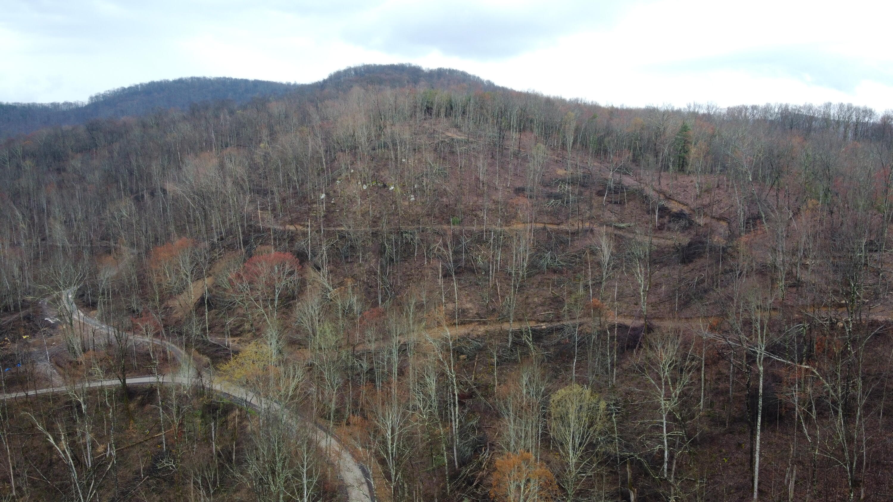 2 Roe Lane Winfield, TN 37892 - Photo 1 of 7 DJI_0161