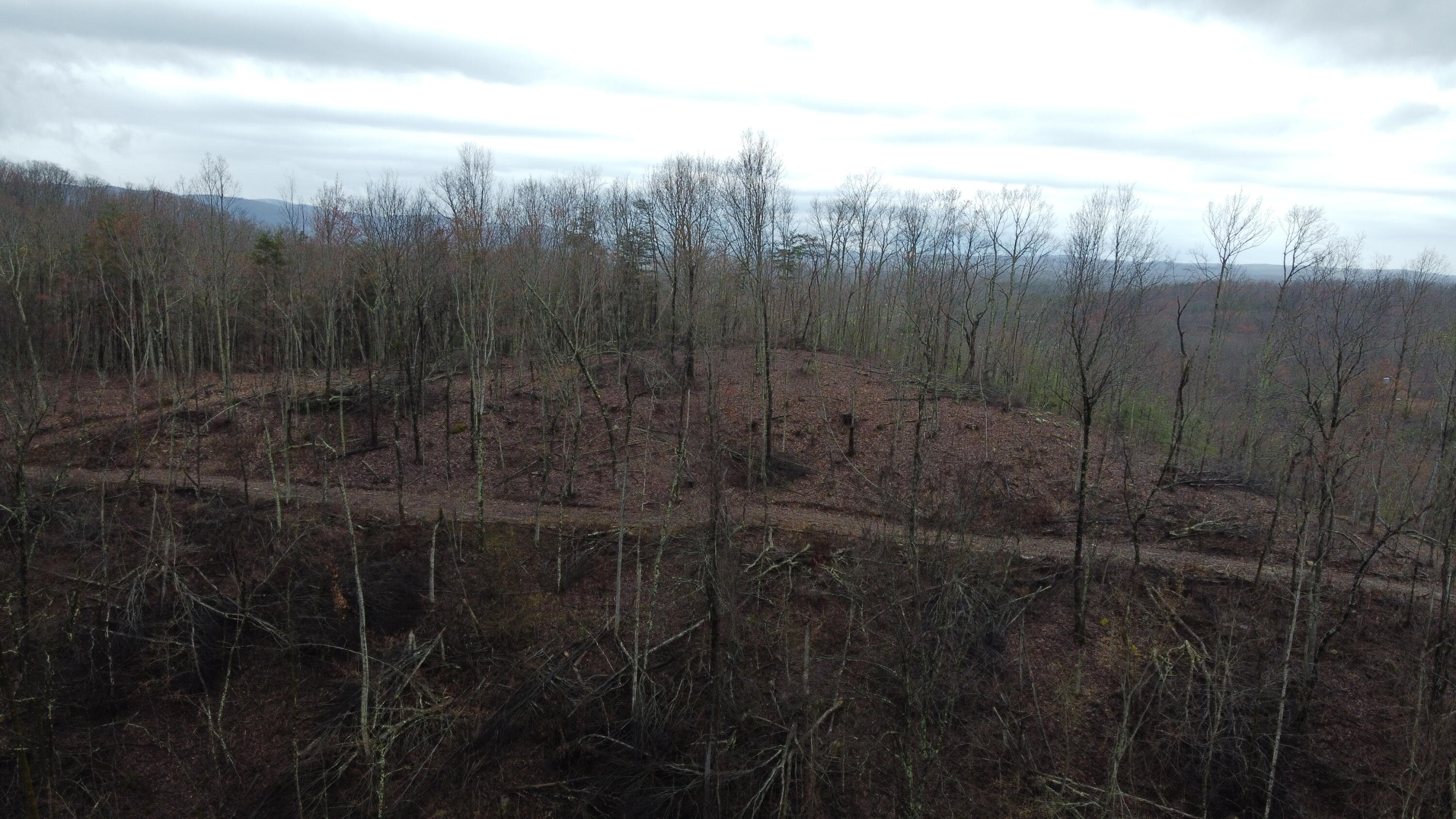 2 Roe Lane Winfield, TN 37892 - Photo 3 of 7 DJI_0163