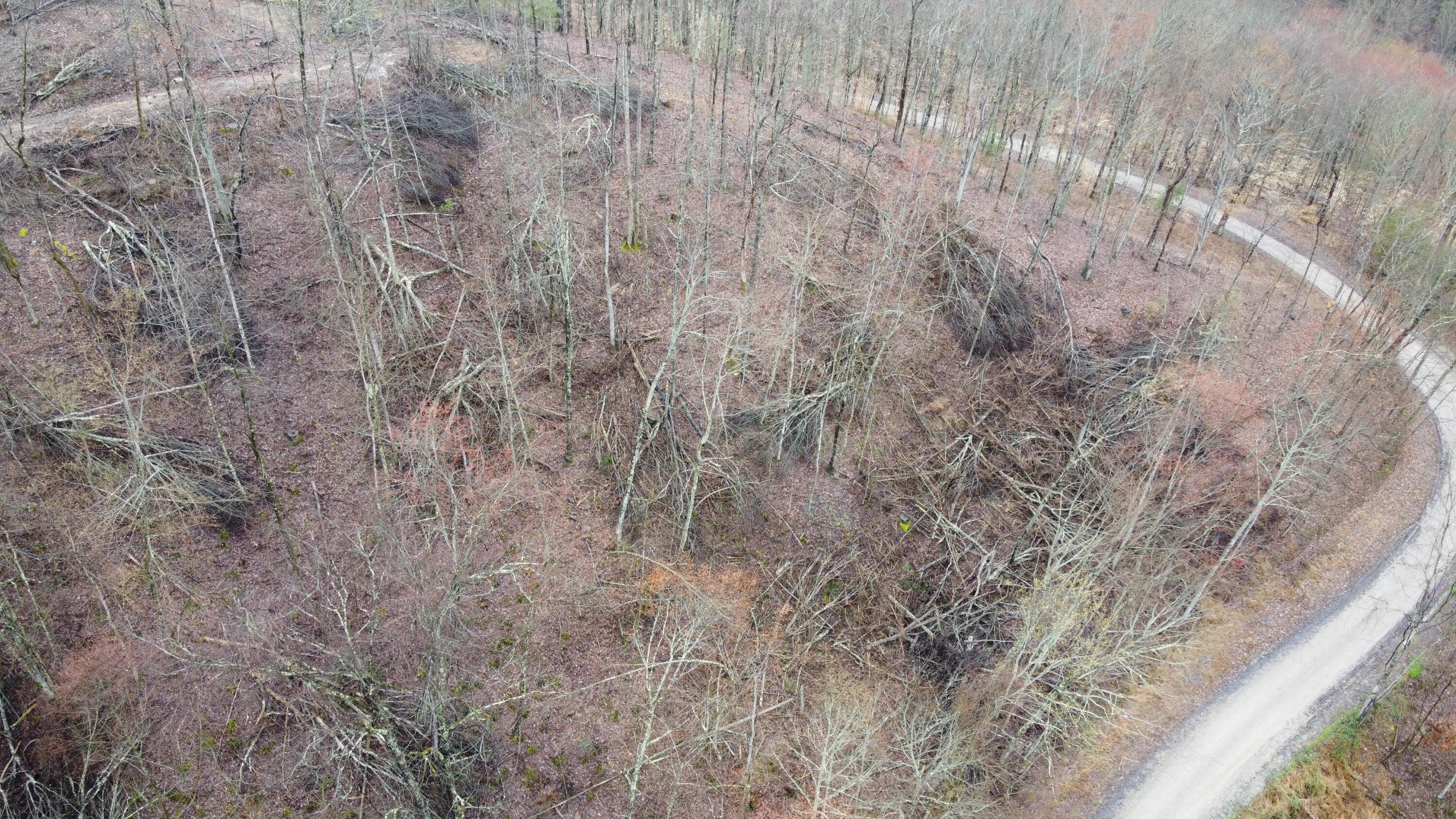 2 Roe Lane Winfield, TN 37892 - Photo 4 of 7 DJI_0164