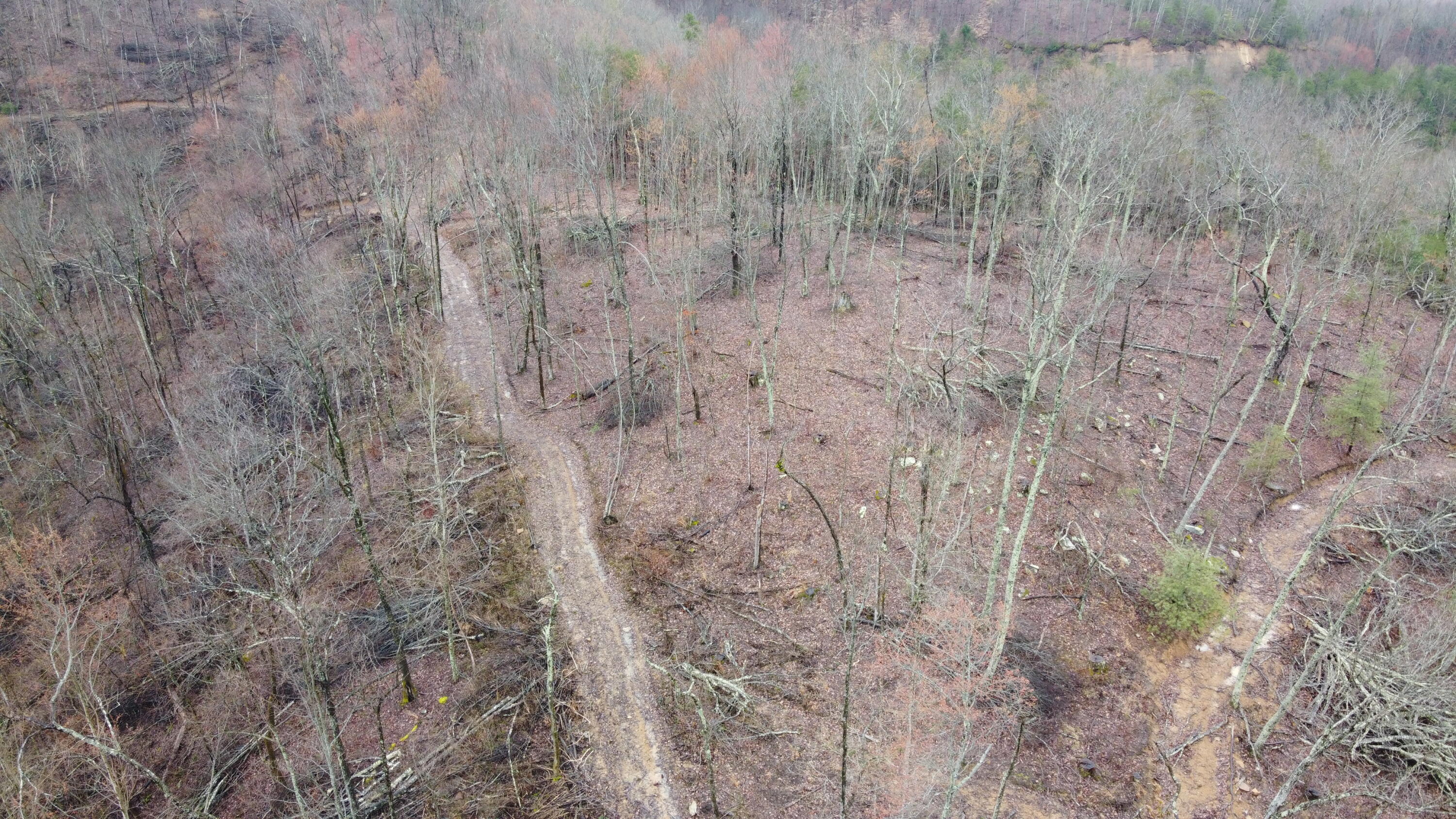 2 Roe Lane Winfield, TN 37892 - Photo 5 of 7 DJI_0165