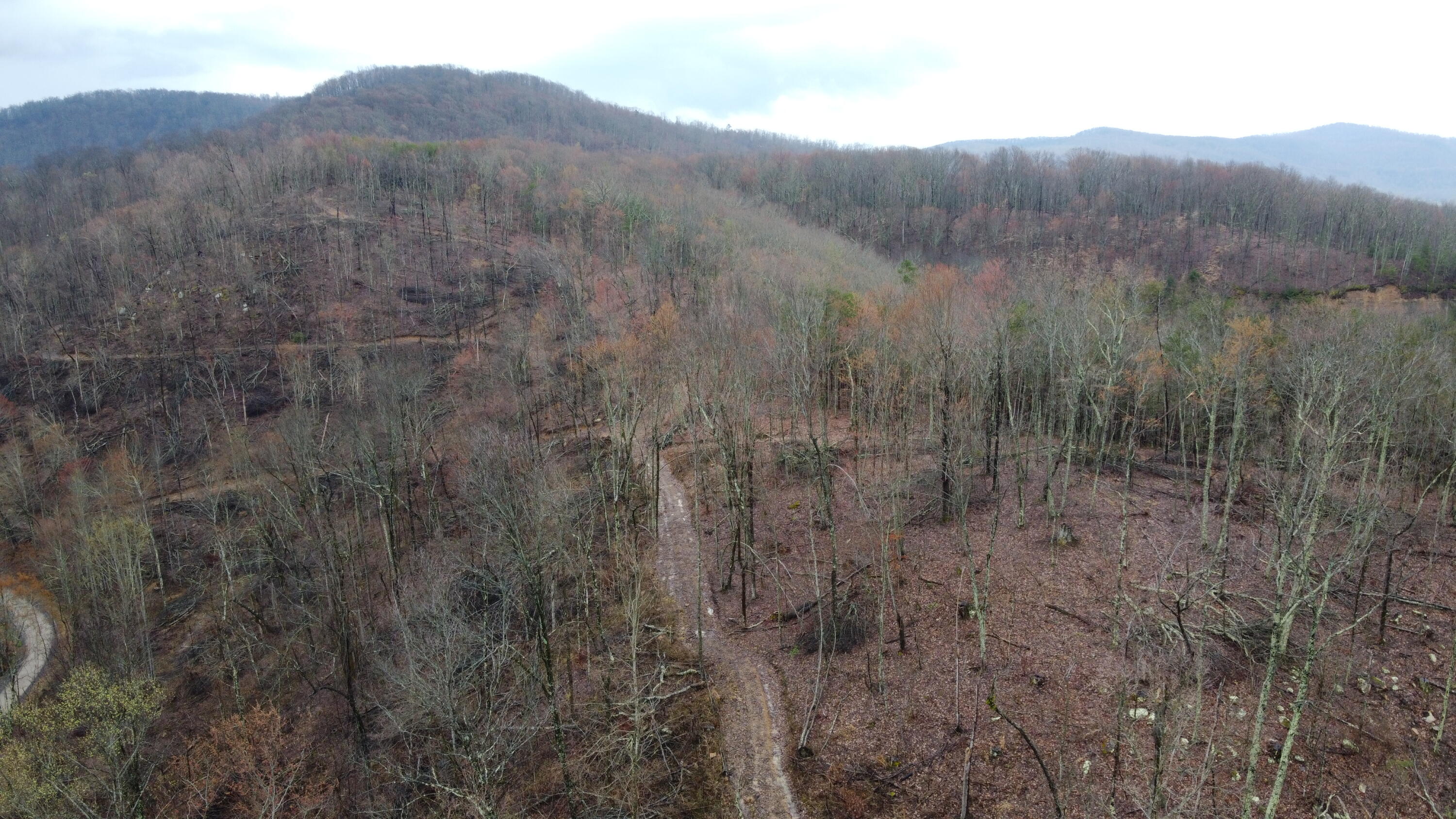 2 Roe Lane Winfield, TN 37892 - Photo 6 of 7 DJI_0166