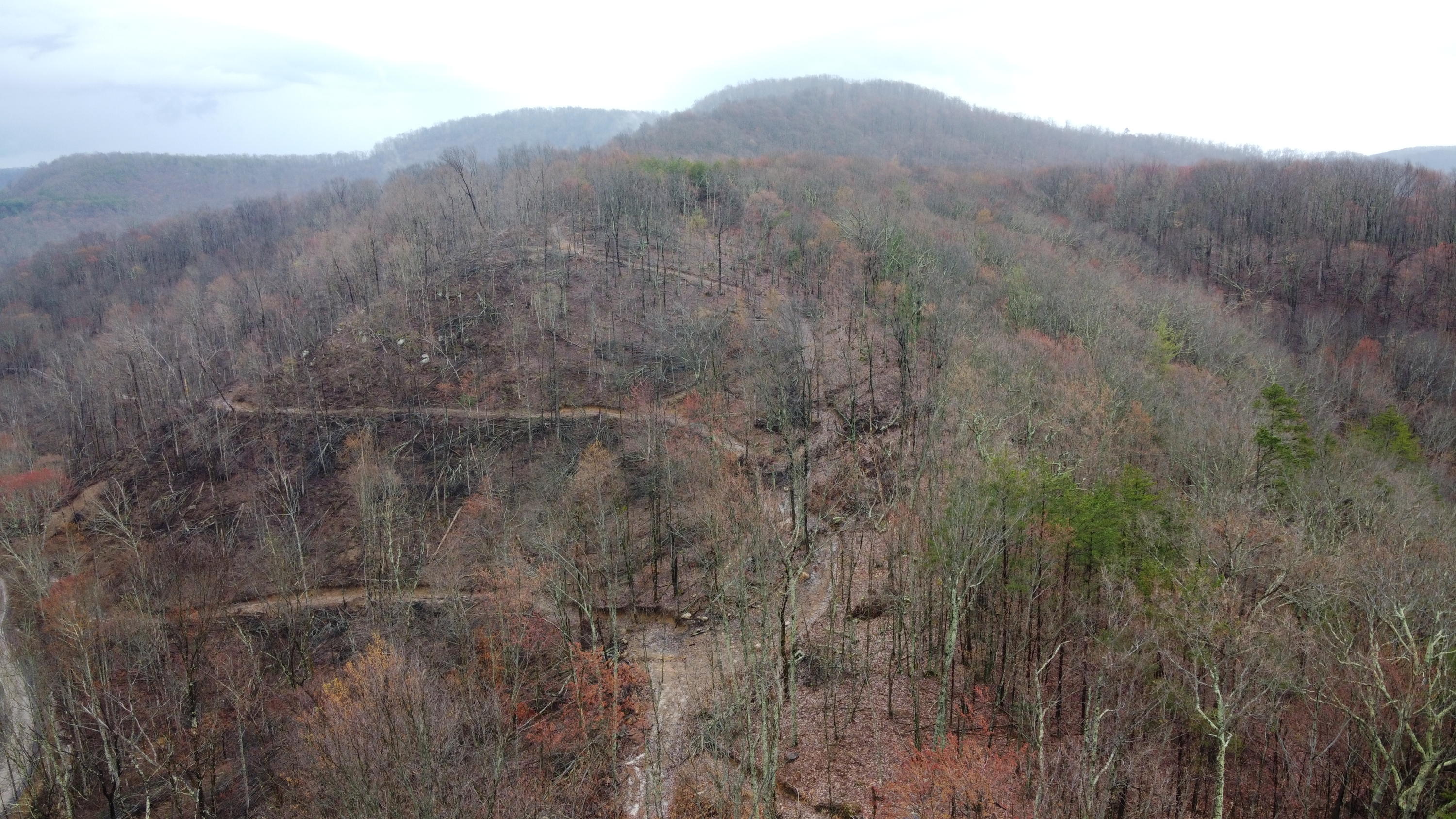 2 Roe Lane Winfield, TN 37892 - Photo 7 of 7 DJI_0168