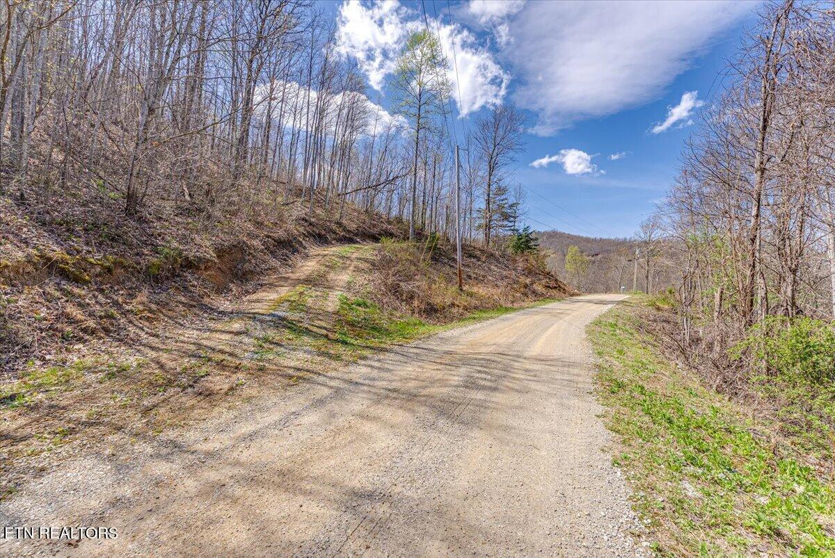 422 Crooked Branch Road Huntsville, TN 37756 - Photo 13 of 35 23-Road A1